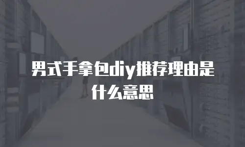 男式手拿包diy推荐理由是什么意思
