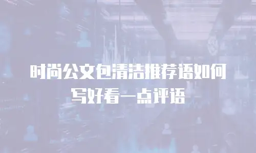时尚公文包清洁推荐语如何写好看一点评语