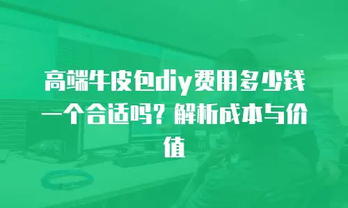 高端牛皮包diy费用多少钱一个合适吗？解析成本与价值