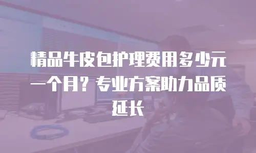 精品牛皮包护理费用多少元一个月？专业方案助力品质延长