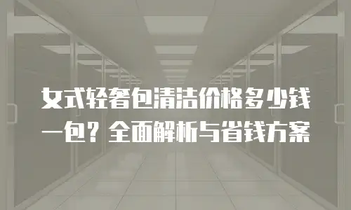 女式轻奢包清洁价格多少钱一包？全面解析与省钱方案