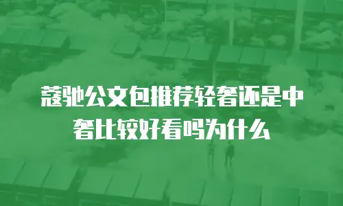 蔻驰公文包推荐轻奢还是中奢比较好看吗为什么