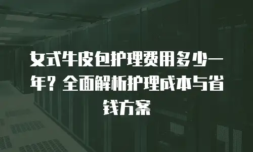 女式牛皮包护理费用多少一年？全面解析护理成本与省钱方案