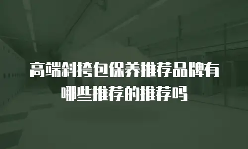 高端斜挎包保养推荐品牌有哪些推荐的推荐吗