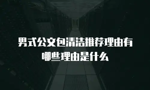 男式公文包清洁推荐理由有哪些理由是什么