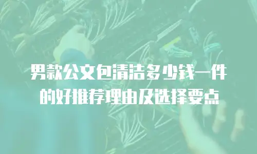 男款公文包清洁多少钱一件的好推荐理由及选择要点