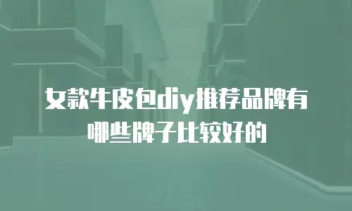 女款牛皮包diy推荐品牌有哪些牌子比较好的