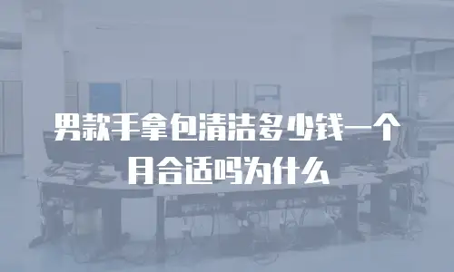 男款手拿包清洁多少钱一个月合适吗为什么