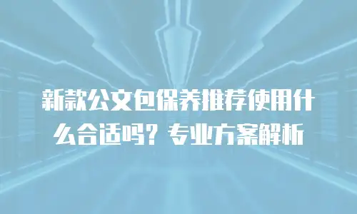 新款公文包保养推荐使用什么合适吗？专业方案解析