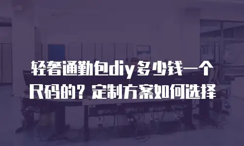 轻奢通勤包diy多少钱一个尺码的？定制方案如何选择