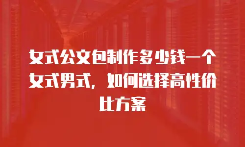 女式公文包制作多少钱一个女式男式，如何选择高性价比方案