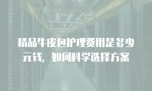 精品牛皮包护理费用是多少元钱，如何科学选择方案