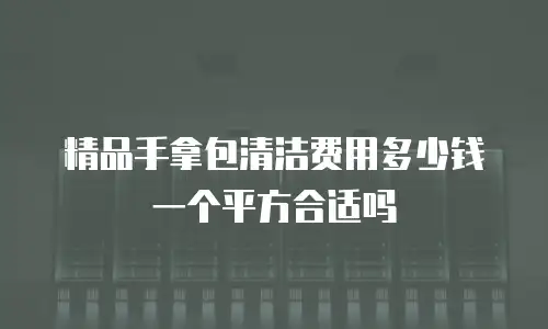精品手拿包清洁费用多少钱一个平方合适吗