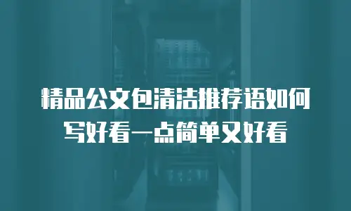 精品公文包清洁推荐语如何写好看一点简单又好看