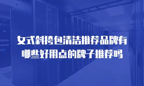 女式斜挎包清洁推荐品牌有哪些好用点的牌子推荐吗