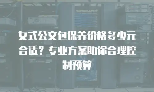 女式公文包保养价格多少元合适？专业方案助你合理控制预算