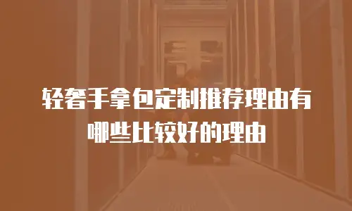 轻奢手拿包定制推荐理由有哪些比较好的理由