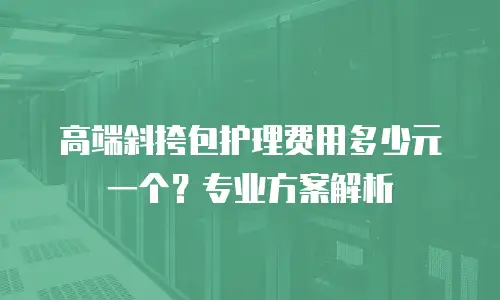 高端斜挎包护理费用多少元一个？专业方案解析