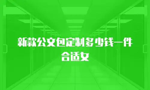 新款公文包定制多少钱一件合适女