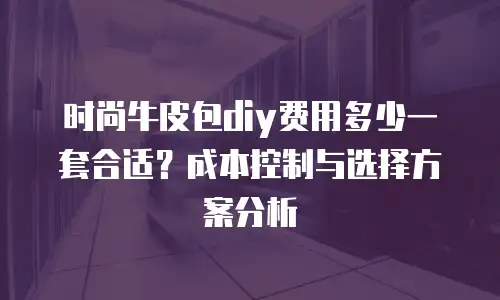 时尚牛皮包diy费用多少一套合适？成本控制与选择方案分析
