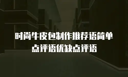 时尚牛皮包制作推荐语简单点评语优缺点评语