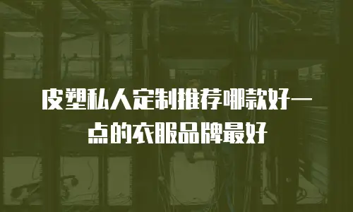 皮塑私人定制推荐哪款好一点的衣服品牌最好
