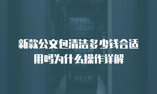 新款公文包清洁多少钱合适用吗为什么操作详解