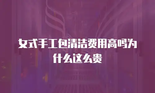 女式手工包清洁费用高吗为什么这么贵