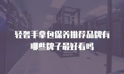 轻奢手拿包保养推荐品牌有哪些牌子最好看吗