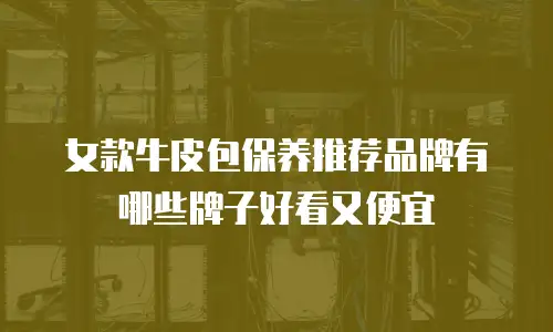 女款牛皮包保养推荐品牌有哪些牌子好看又便宜