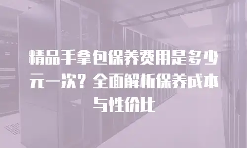 精品手拿包保养费用是多少元一次？全面解析保养成本与性价比