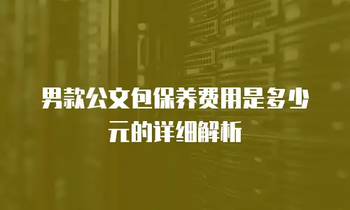 男款公文包保养费用是多少元的详细解析
