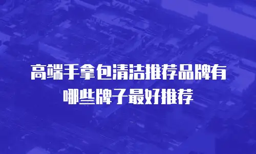 高端手拿包清洁推荐品牌有哪些牌子最好推荐