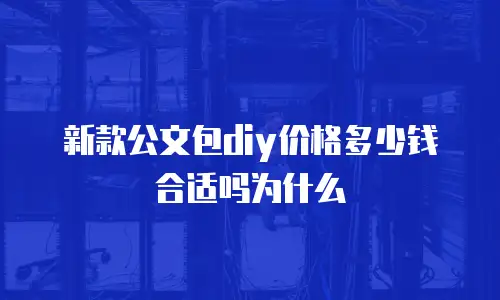 新款公文包diy价格多少钱合适吗为什么