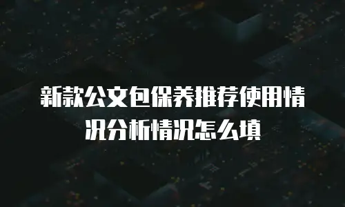 新款公文包保养推荐使用情况分析情况怎么填