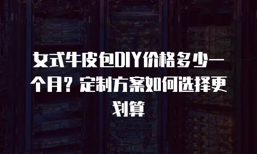 女式牛皮包DIY价格多少一个月？定制方案如何选择更划算
