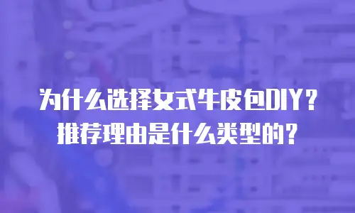 为什么选择女式牛皮包DIY？推荐理由是什么类型的？