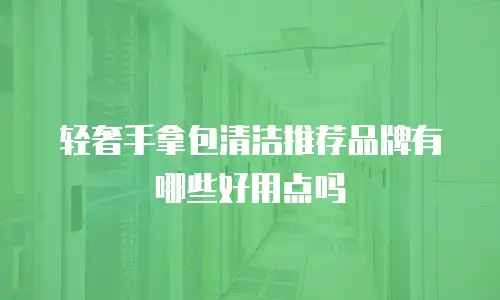 轻奢手拿包清洁推荐品牌有哪些好用点吗