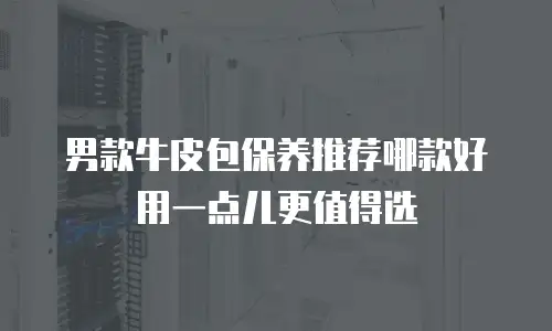 男款牛皮包保养推荐哪款好用一点儿更值得选