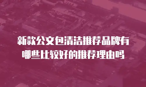 新款公文包清洁推荐品牌有哪些比较好的推荐理由吗