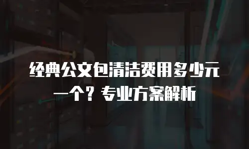 经典公文包清洁费用多少元一个？专业方案解析