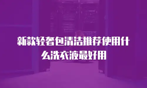 新款轻奢包清洁推荐使用什么洗衣液最好用