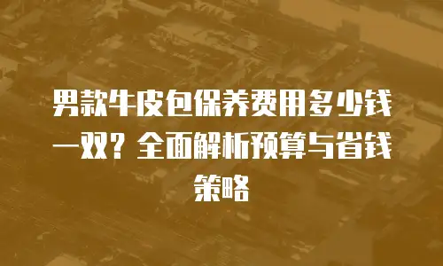 男款牛皮包保养费用多少钱一双？全面解析预算与省钱策略