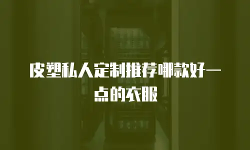 皮塑私人定制推荐哪款好一点的衣服