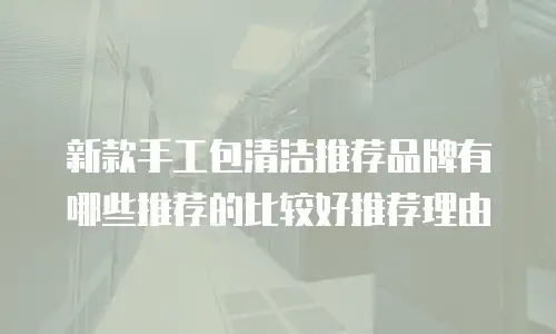 新款手工包清洁推荐品牌有哪些推荐的比较好推荐理由