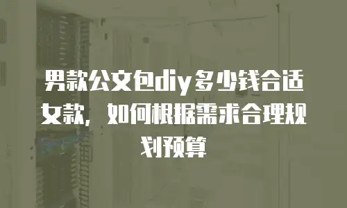 男款公文包diy多少钱合适女款，如何根据需求合理规划预算