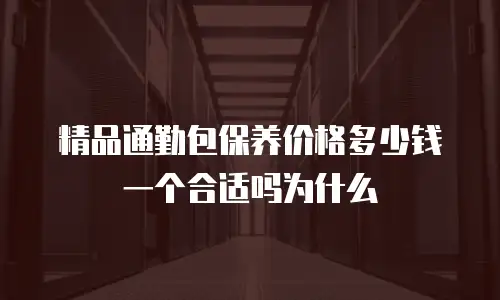 精品通勤包保养价格多少钱一个合适吗为什么