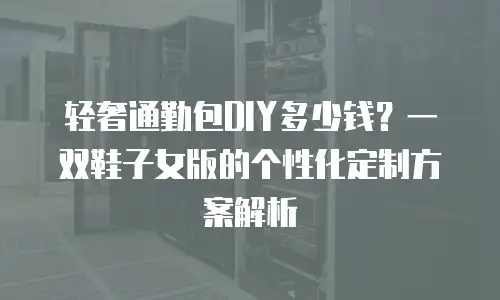 轻奢通勤包DIY多少钱？一双鞋子女版的个性化定制方案解析