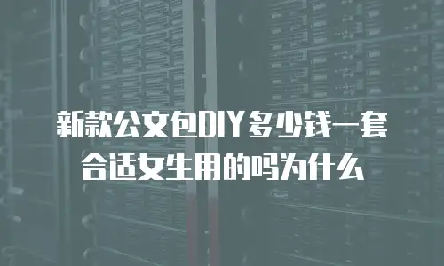 新款公文包DIY多少钱一套合适女生用的吗为什么