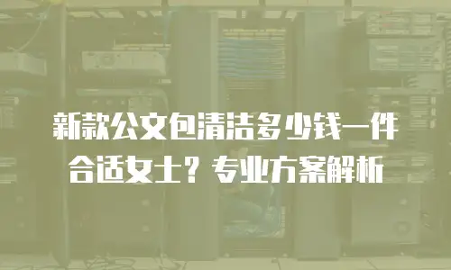 新款公文包清洁多少钱一件合适女士？专业方案解析